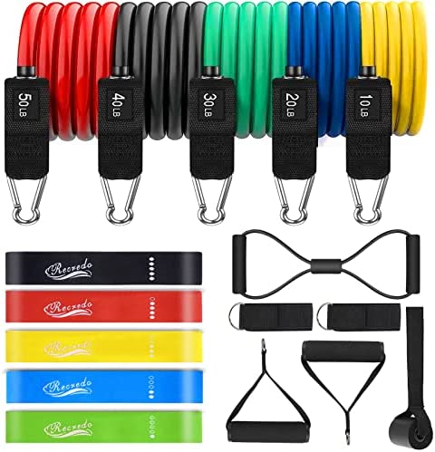 Resistance Bands Set 17pcs, Resistance Band, Exercise Bands Fitness Workout with Wide Handles, Door Anchor, Steel Clasp, Carry Bag, Ankle Straps for Home Gym Outdoor Travel